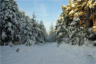 《自杀小队：战胜正义联盟》过场动画：蝙蝠侠之死